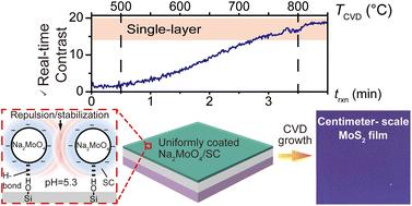 Layer-controlled continuous MoS2 growth using a spin-coatable metal precursor buffer†