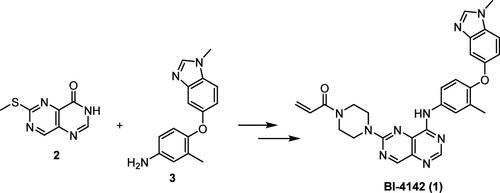 Enabling the First Scale-Up of the Selective HER2 Inhibitor BI-4142