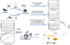 Ultra-thin CoAg-MOFNs for SERS for the rapid analysis of imidacloprid pesticide residues in citrus