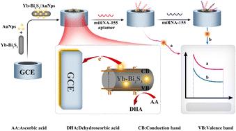 A near-infrared photoelectrochemical aptasensor based on a Yb–Bi2S3/AuNP nanocomposite for determining miRNA-155, a biomarker for allergic rhinitis