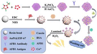 Preparation of AuPt@ZIF-67 nanomaterials and their application in a flow injection chemiluminescence immunoassay†