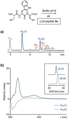 Chirality Effects in Peptide-Based Dynamic Combinatorial Chemistry