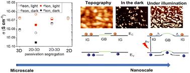 Unveiling of free carrier transport and ion migration in a 2D–3D perovskite mixture for stable optoelectronic devices†