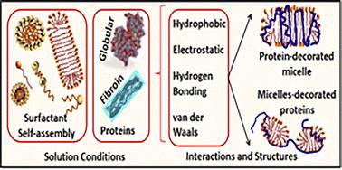 Surfactant-driven modifications in protein structure