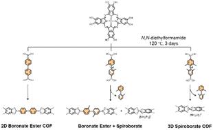 Influence of methyl substitution on linear diboronic acids: toward spiroborate covalent organic framework formation in N,N-diethylformamide†