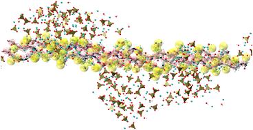Nucleation of biomimetic hydroxyapatite nanoparticles on the surface of human type I collagen using a hybrid all-atom and coarse-grained model†