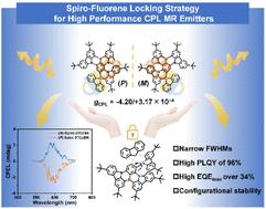 Spiro-fluorene locked multi-resonance delayed fluorescence helical framework: efficient circularly polarized electroluminescent materials†