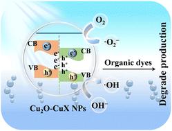 Cu2O-CuX NPs rich in oxygen vacancies modulated by halogen ions and their application in photocatalytic degradation†