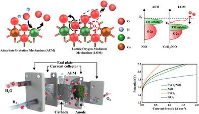 Stabilizing Lattice Oxygen Evolution with Oxophilic Ce and Active Ni Oxide Composite Electrocatalysts for Efficient Anion Exchange Membrane Water Electrolyzers
