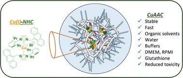 Enhancing the CuAAC efficiency of a Cu(i)–NHC complex in biological media by encapsulation†