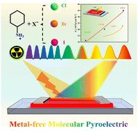A metal-free molecular pyroelectric material with strong pyro-photovoltaic coupling for enhancing self-powered X-ray response†