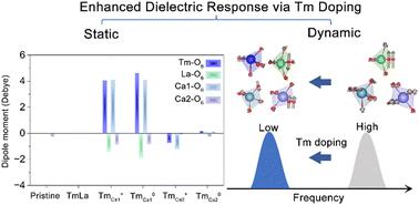 Theoretical design of dielectric enhancement in Tm-doped LaCOB crystals†