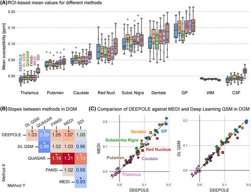 Quantitative susceptibility mapping in magnetically inhomogeneous tissues