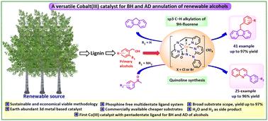 A passage from pincer complexes to rationally designed phosphine-free Co(iii) catalysts supported by a pentadentate ligand for activation of alcohols: studies on sp3 C–H alkylation of 9H-fluorene and quinoline synthesis†