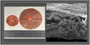 Liquid–liquid–solid interfacial polymerization approach to rapid fabrication of large-sized, self-standing structured COF membranes†
