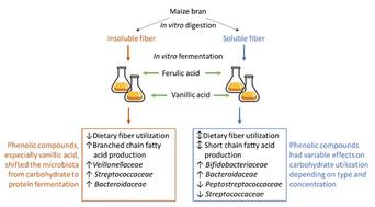 Impact of ferulic and vanillic acids on soluble and insoluble dietary fiber utilization from maize bran by the human gut microbiota†