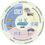 Non-noble-metal catalysts for electrocatalytic ammonia oxidation