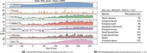 Deep learning meets tree phenology modelling: PhenoFormer versus process-based models