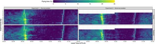 Nocturnal but not diurnal threats shape stopover strategy in a migrating songbird
