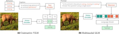 Zero-shot animal behaviour classification with vision-language foundation models