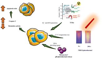 Synthesis of a covalently linked bismuthene–graphene heterostructure loaded with mitomycin C for combined radio-thermo-chemotherapy of triple-negative breast cancer†