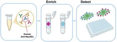 A general and accessible approach to enrichment and characterisation of natural anti-Neu5Gc antibodies from human samples†