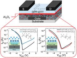 Engineered semiconductor-dielectric interfaces in polymer ferroelectric transistors†