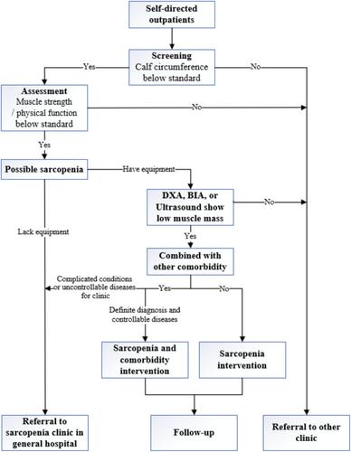 Chinese Expert Consensus on Standardized Outpatient Management of Sarcopenia in the Elderly (2024)