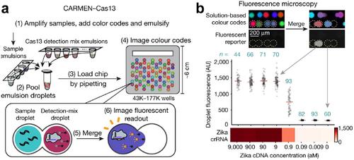 Design Principles of Nanosensors for Multiplex Detection of Contaminants in Food