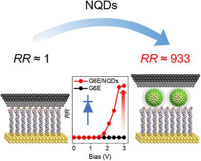 Interface Regulated Solid-State Rectification of Peptide via Quantum Dots Self-Assembly Monolayer