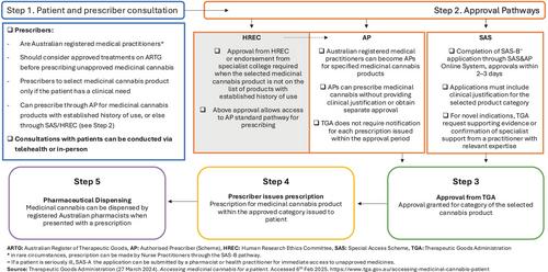 The prevalence and correlates of self-reported cannabis use for medicinal, dual and recreational motives in Australia: Findings from the National Drug Strategy Household Survey 2022/2023
