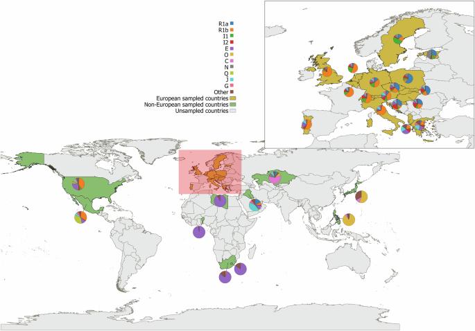 UYSD: a novel data repository accessible via public website for worldwide population frequencies of Y-SNP haplogroups