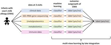 A multi-omics machine learning classifier for outgrowth of cow's milk allergy in children†