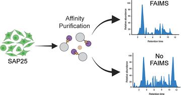 Analysis of FAIMS for the study of affinity-purified protein complexes using the orbitrap ascend tribrid mass spectrometer†