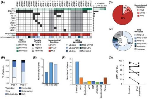 Erythroid-stimulating agents in VEXAS syndrome: A retrospective study from an Italian multicentre cohort