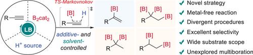 Metal-Free Divergent Hydroboration/Multiboration of Terminal Alkynes via Markovnikov Pathway