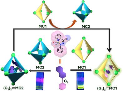 Modulation of Photoluminescence of BODIHY Dye Using Water-Soluble Coordination Cages With Different Shapes