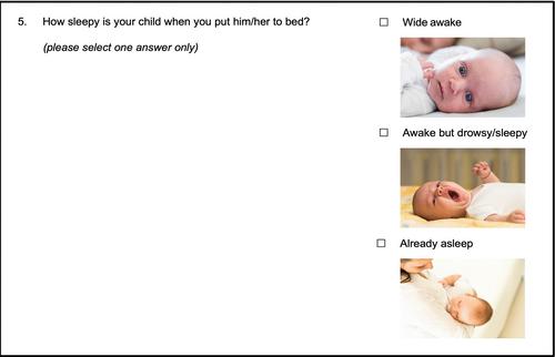 Effect of a care-coordinated responsive parenting intervention on obesogenic risk behaviours among mother–infant dyads enrolled in WIC