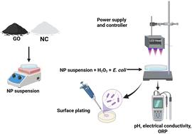 Antibacterial efficacy of light-activated graphene oxide nanoparticles and nanochitosan in water†