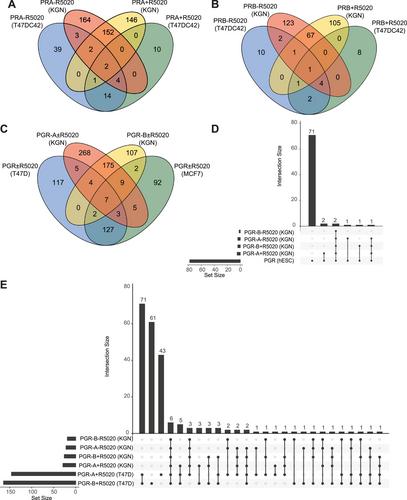 Comparative Analysis of the Progesterone Receptor Interactome in the Human Ovarian Granulosa Cell Line KGN and Other Female Reproductive Cells