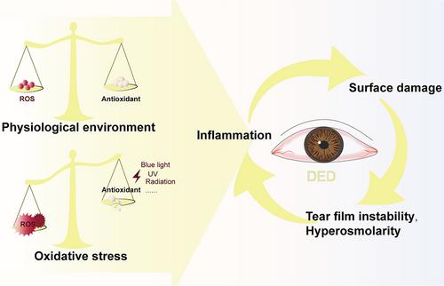 Dry Eye Disease: Oxidative Stress on Ocular Surface and Cutting-Edge Antioxidants