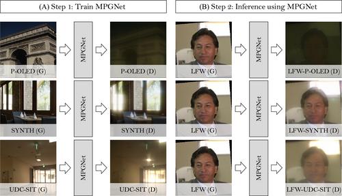 Investigating the effects of degradation and restoration on face recognition in under-display cameras