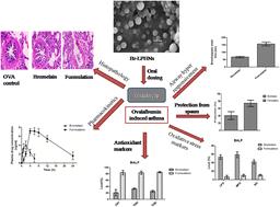 Tailoring bromelain-loaded lipid–polymer hybrid nanoparticles for asthma management: fabrication and preclinical evaluation†