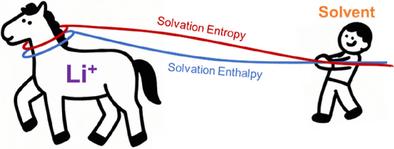 Identifying the Role of Solvation Entropy for the Solvation Chemistry in Nonaqueous Electrolytes