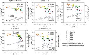 Soil acidification alters C : N : P stoichiometry in the soil due to higher acid sensitivity of phosphorus†