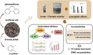 Increased phenanthrene toxicity to Eisenia fetida upon co-exposure to o-xylene†