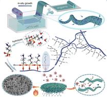 Interfacial ionic and thermal regulation for highly reversible and ultra-reliable zinc-ion batteries†