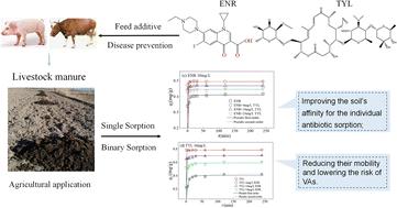 Collaborative sorption behavior of tylosin and enrofloxacin in loess soil: implications for veterinary antibiotic fate†
