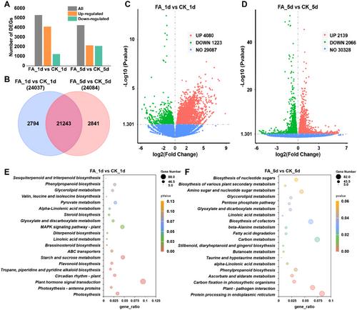Application of Ferulic Acid to Alleviate Chilling Injury of Banana Fruit by Regulating Redox, Phenylpropanoid, and Energy Metabolism