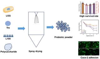 Fabrication of microcapsules encapsulating L. rhamnosus GG with Eudragit® L100–trehalose and polysaccharides: a study on physicochemical properties and cell adhesion